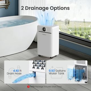 Deumidificatore 12L CHIVALZ