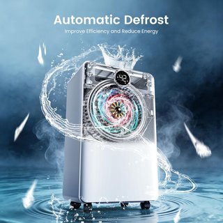 Deumidificatore 12L CHIVALZ