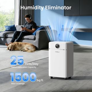 Deumidificatore 12L Silenzioso Casa Muffa