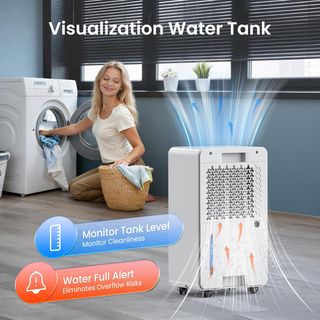Deumidificatore 12L Silenzioso Casa Muffa