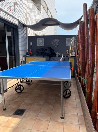 Mesa de ping pong Artengo con funda
