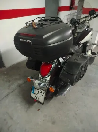 Suzuki 800cc Chopper Manual