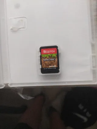 Minecraft Nintendo Switch