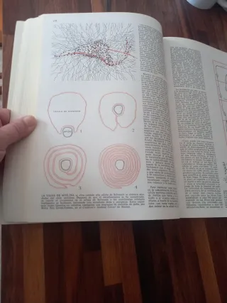 Libro Psicologia Fisiologia selecciones Scientific