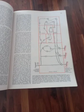 Libro Psicologia Fisiologia selecciones Scientific