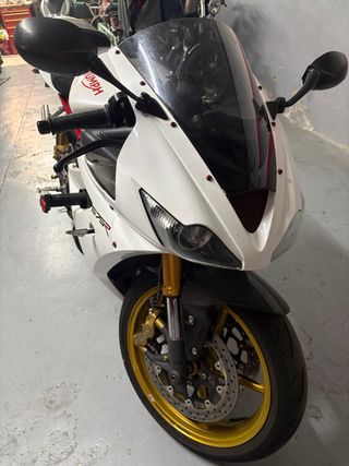 Triumph Daytona 675 Blanca y Dorada