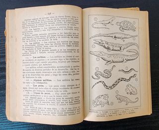 Enciclopedia Dalmau Carles Pla - Grado Sup. (1963)
