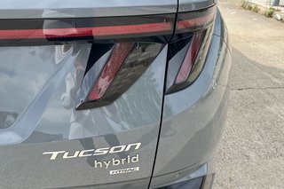 Hyundai Tucson   1.6D 100kW 136CV 48V DCT N Line Sky