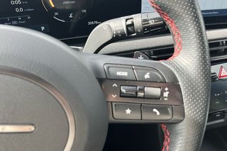 Hyundai Tucson   1.6D 100kW 136CV 48V DCT N Line Sky