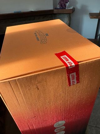 Labubu Rock The Universe 37cm