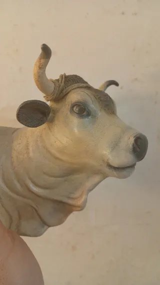 Testa asino e bue presepe