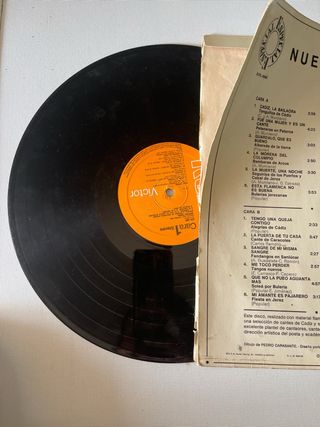 Vinilo Flamenco y Sevillanas