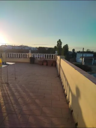 Estudio en parcela la matilla