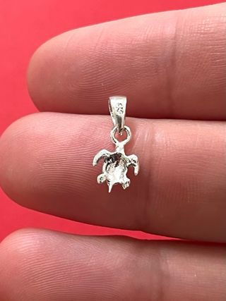 Hermoso Colgante Tortuga Marina Plata De Ley 925