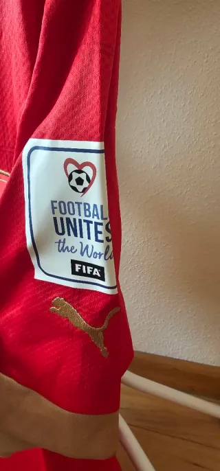 Camiseta Serbia Maksimovic Firmada Qatar 2022