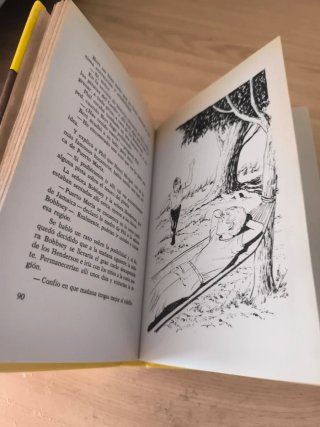 Libro vintage Los gemelos y el campamento misterio