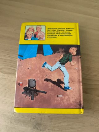 Libro vintage Los gemelos y el campamento misterio