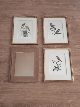 4 cuadros antiguos aves