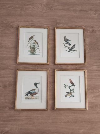 4 cuadros antiguos aves