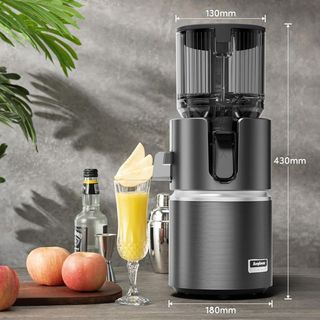 Extractor de zumos lento 350W