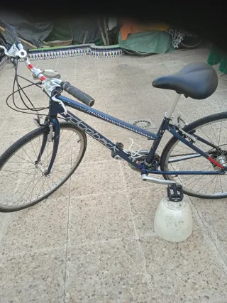 Bicicleta Mujer Ruedas 700