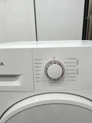 Secadora WINIA 8KG Condensación