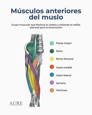 Masajes Profesionales masajista titulado