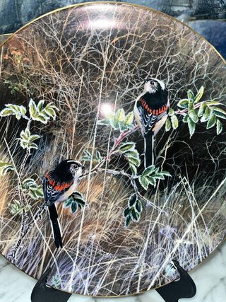 LOTE 5 PLATOS COALPORT