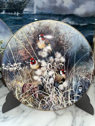 LOTE 5 PLATOS COALPORT