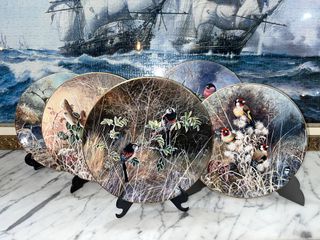 LOTE 5 PLATOS COALPORT