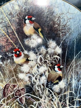 LOTE 5 PLATOS COALPORT