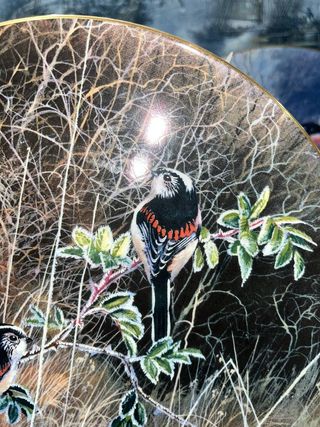 LOTE 5 PLATOS COALPORT