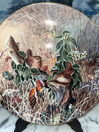 LOTE 5 PLATOS COALPORT