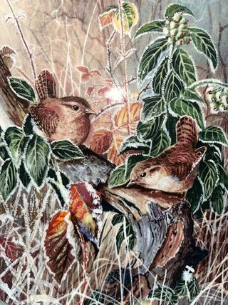 LOTE 5 PLATOS COALPORT