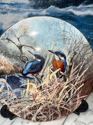 LOTE 5 PLATOS COALPORT