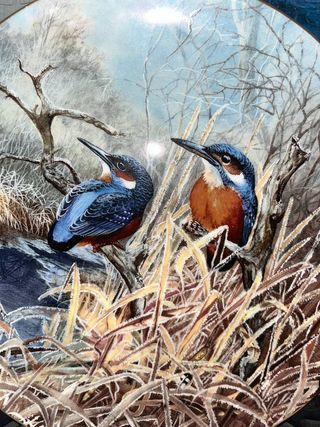 LOTE 5 PLATOS COALPORT