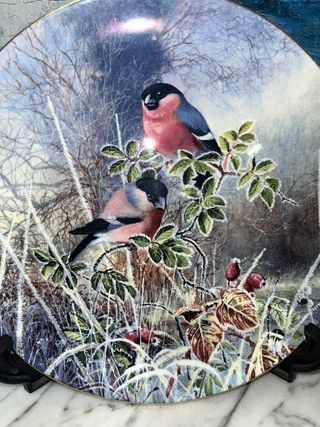 LOTE 5 PLATOS COALPORT