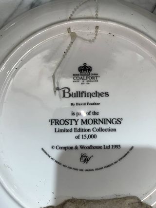 LOTE 5 PLATOS COALPORT