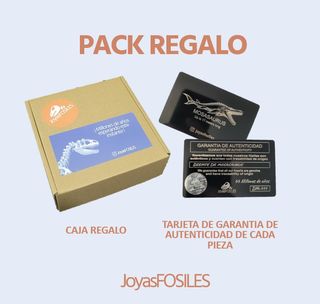 Punta Fósil Mosasaurus con Soporte