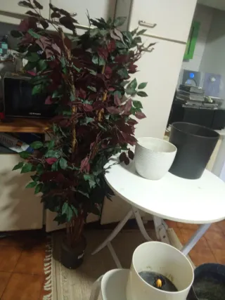 2 Maceteros Cerámicos y Autorriego