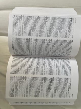 DICC.PRACTICO DE LA LENGUA ESPAÑOLA
