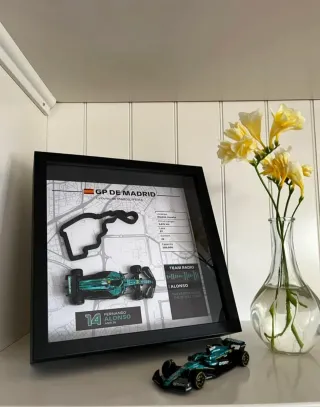 Cuadro de F1 de Fernando Alonso - Madrid GP