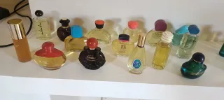 Colección de perfumes,16 de 50ml,6minis y 6 vacias