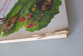 Guarda e scopri gli animali del Campo e Fattoria