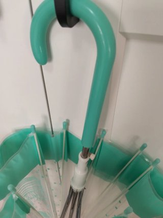 Paraguas transparente con diseño de cactus