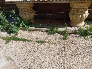 Dos bancos de piedra con diseño floral