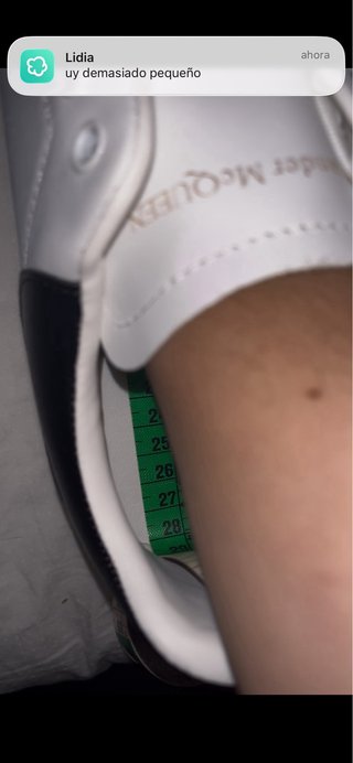 Alexander McQueen Zapatillas Blancas y Negras