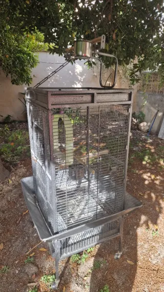 Jaula grande para loros y aves