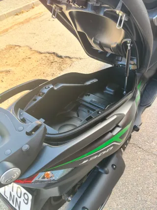 Kawasaki J300 Negra y Verde