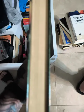 La bèstia (Narrativa Singular) (Catalan Edition)